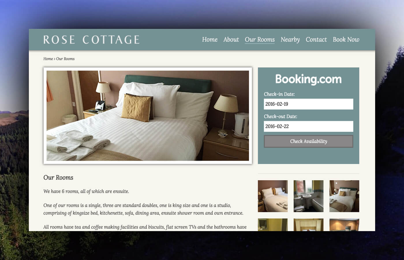 Rose Cottage Guest House Rocket Sites