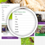 wordpress-cumbria-spotlight