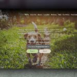 fingland-pet-hotel-website